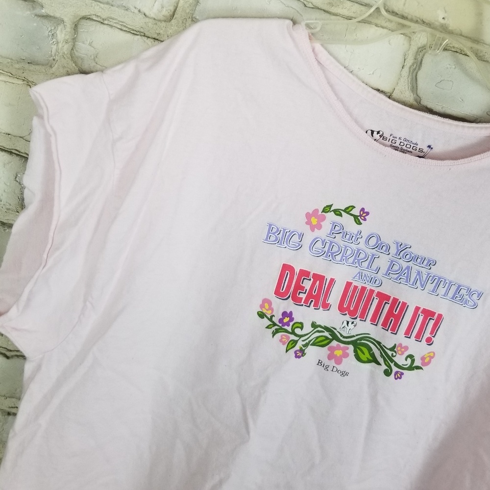 Retro 90s Tshirt 2X Pink 100% Cotton by Big Dog